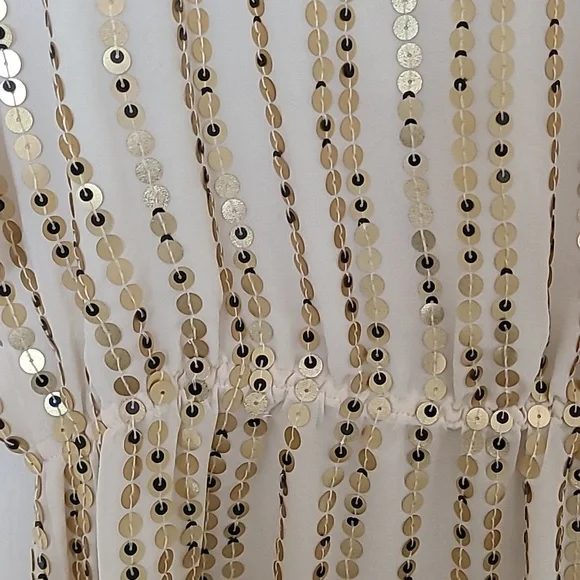 Soft Surroundings Creme Silk Gold Sequin Striped Blouse Size Large EUC Tie Front - Picture 6 of 7